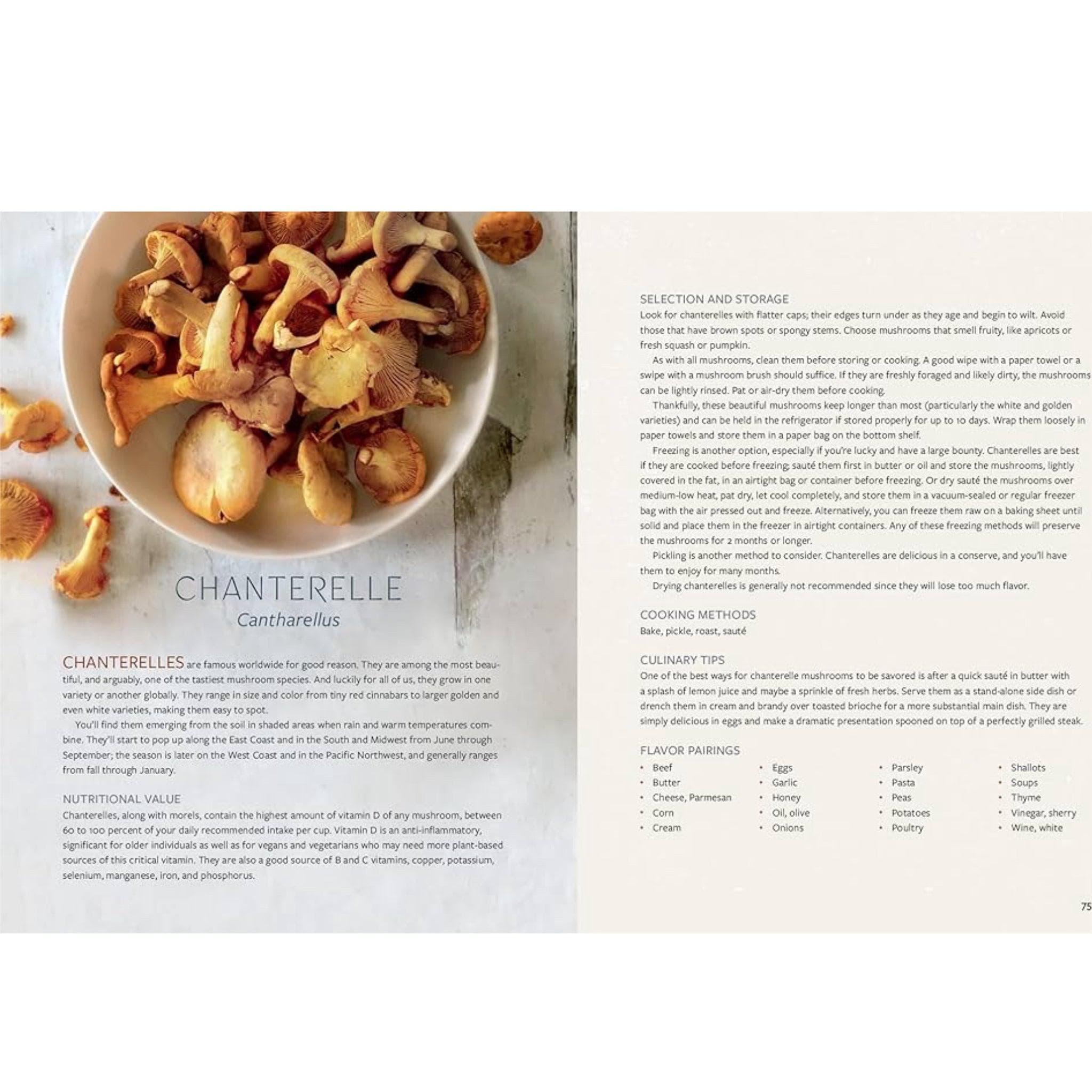 Mushroom Gastronomy: The Art of Cooking with Mushroom - Image 4