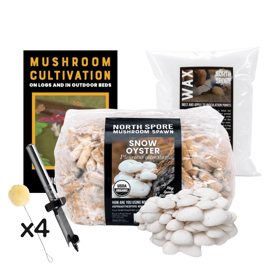 Mushroom Log Beginner Bundle - Image 7