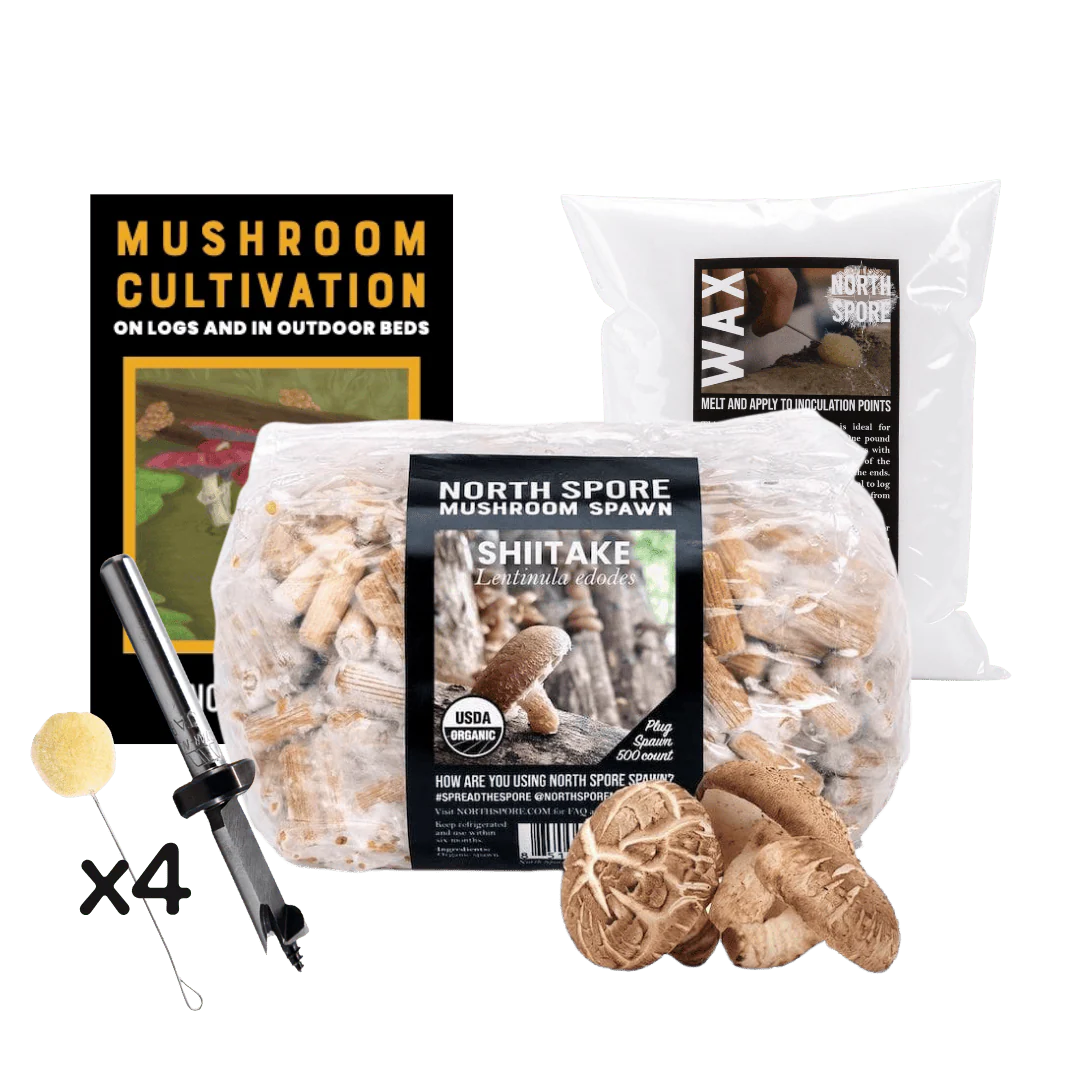 Mushroom Log Beginner Bundle - Image 8