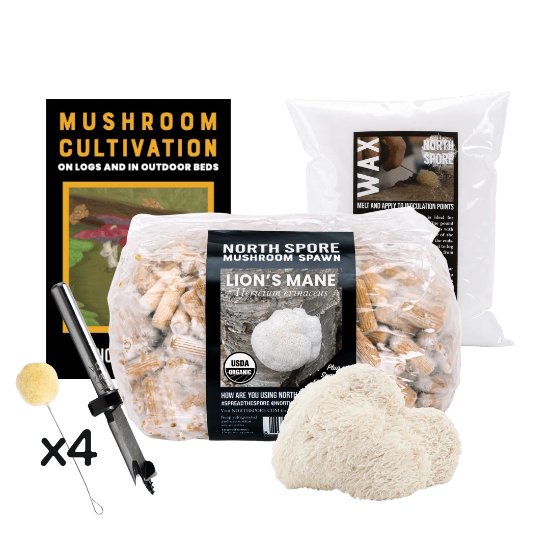Mushroom Log Beginner Bundle - Image 9