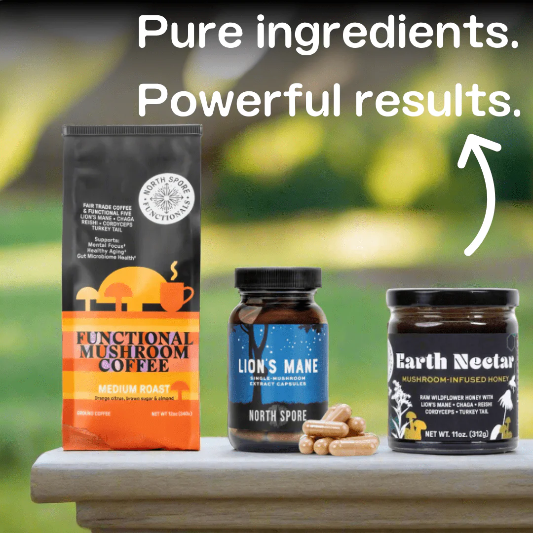 Mushroom Mornings Gift Bundle | Coffee & Lion’s Mane for Focus, Energy & Balance - Image 3