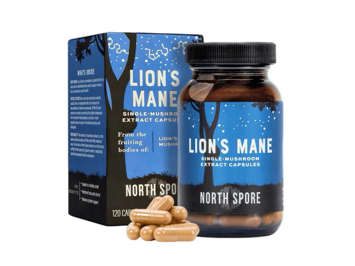 Mushroom Mornings Gift Bundle | Coffee & Lion’s Mane for Focus, Energy & Balance - Image 6