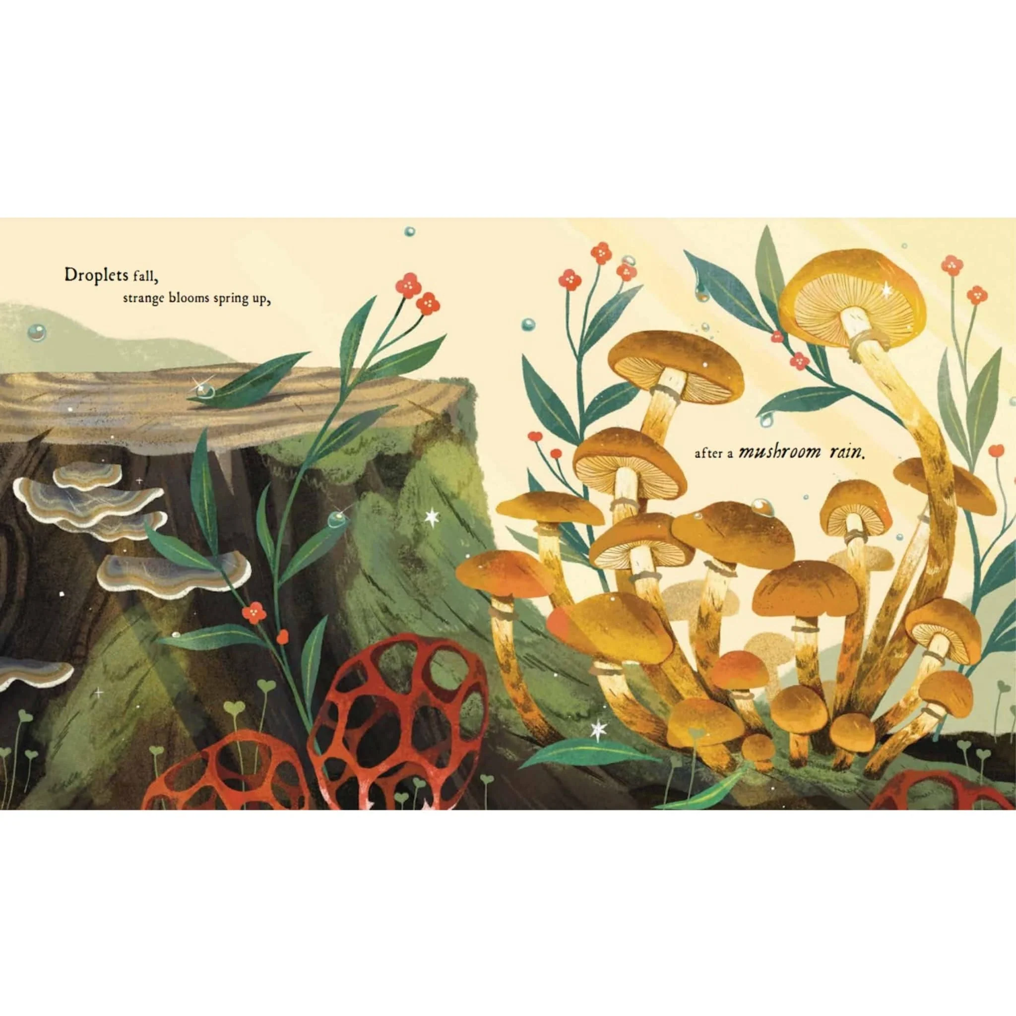 Mushroom Rain (Illustrated Book) - Image 4