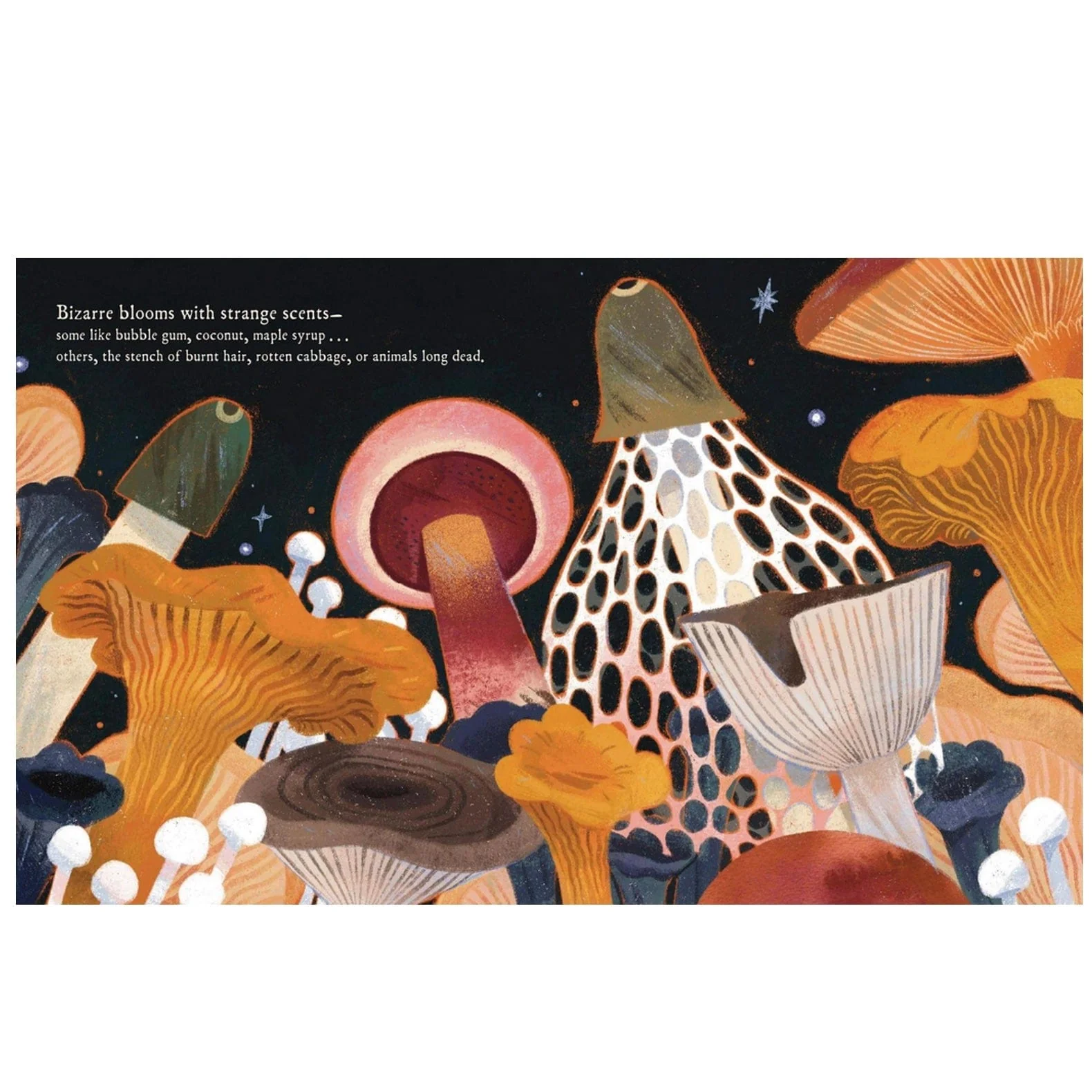 Mushroom Rain (Illustrated Book) - Image 5