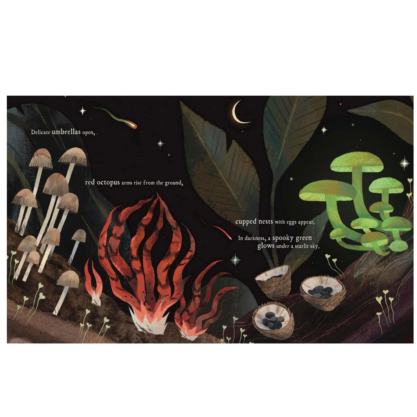 Mushroom Rain (Illustrated Book) - Image 6