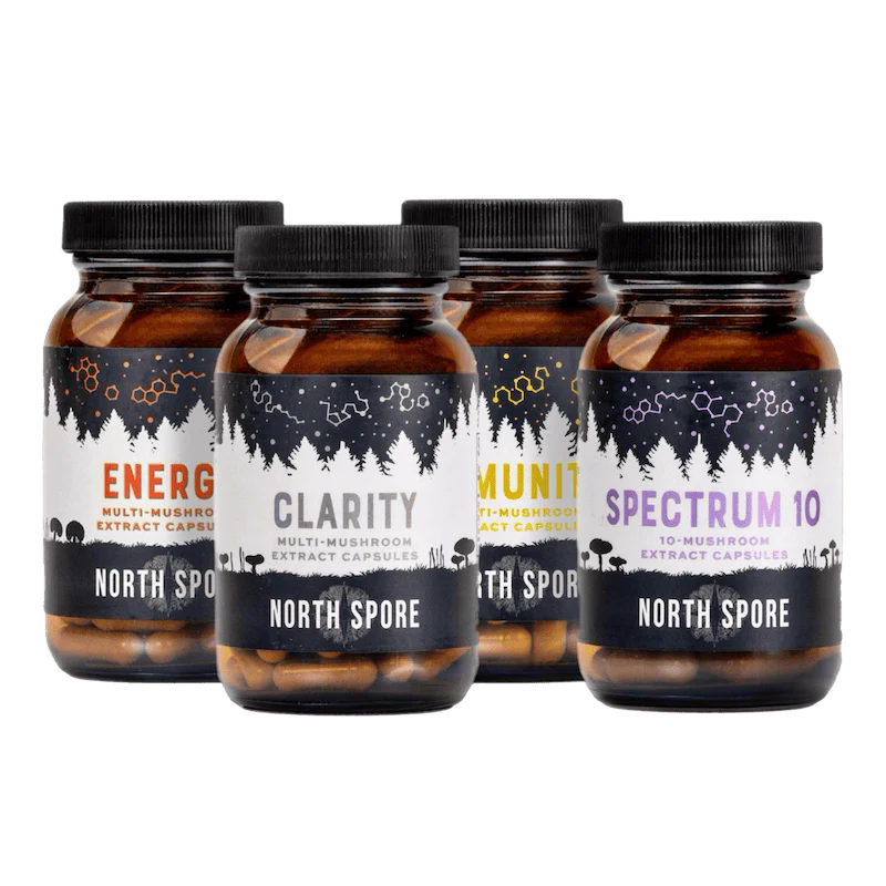 Organic High Potency Mushroom Capsule Bundle