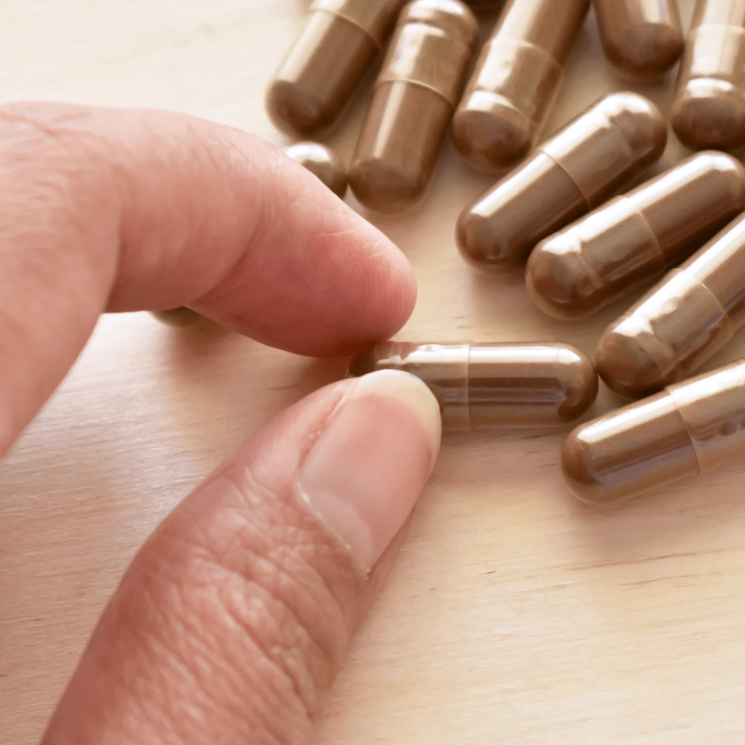 Organic High Potency Mushroom Capsule Bundle - Image 4