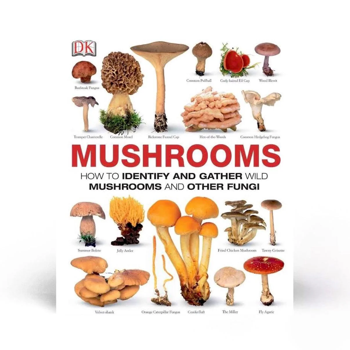 How to Identify & Gather Wild Mushrooms and Other Fungi - Image 2