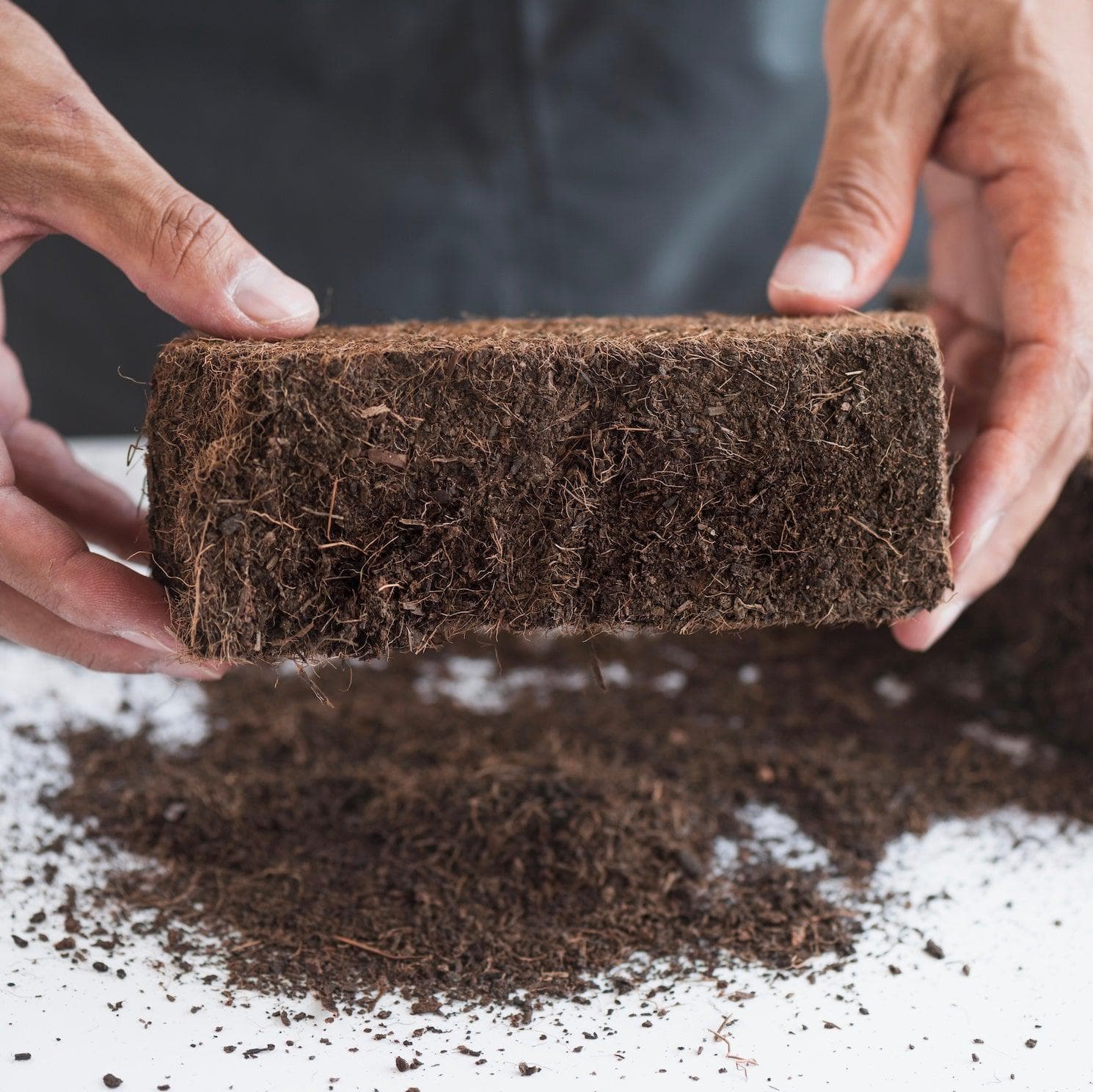 'Myco Coco' Compressed Coco Coir Substrate & Casing Layer - Image 2