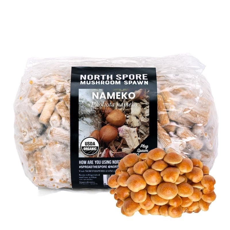 Organic Nameko Mushroom Plug Spawn - Image 7
