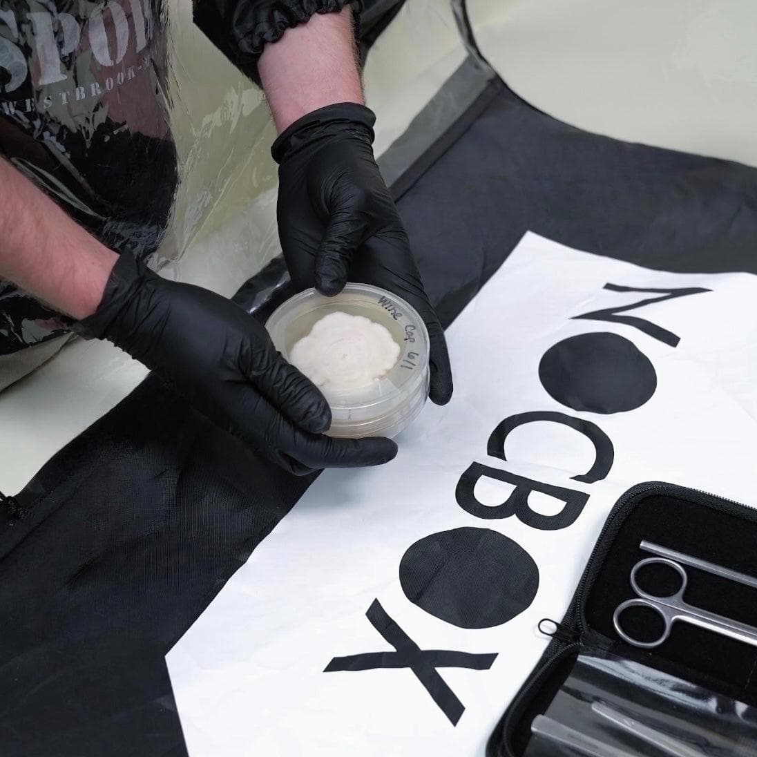 NocBox Still Air Box - Image 5
