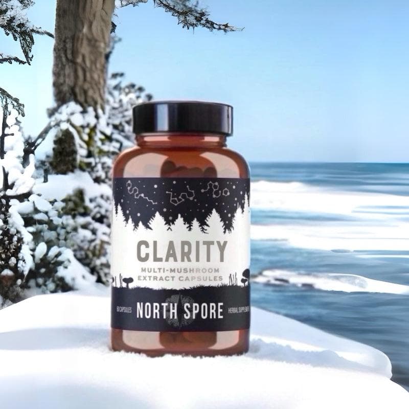 Organic ‘Clarity’ Mushroom Capsules (High Potency) - Image 2