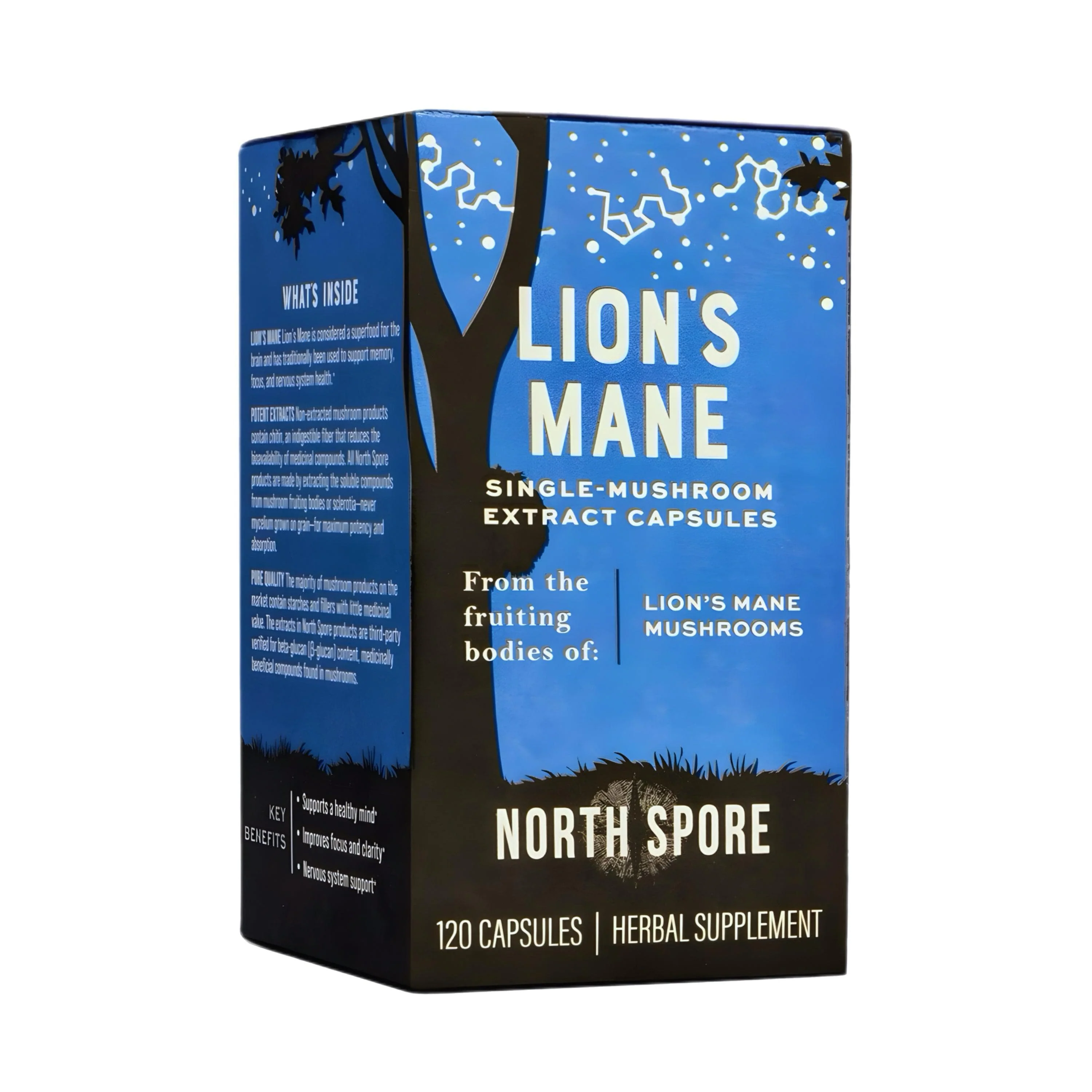 Organic Lion's Mane Mushroom Capsules (120 ct) - Image 5