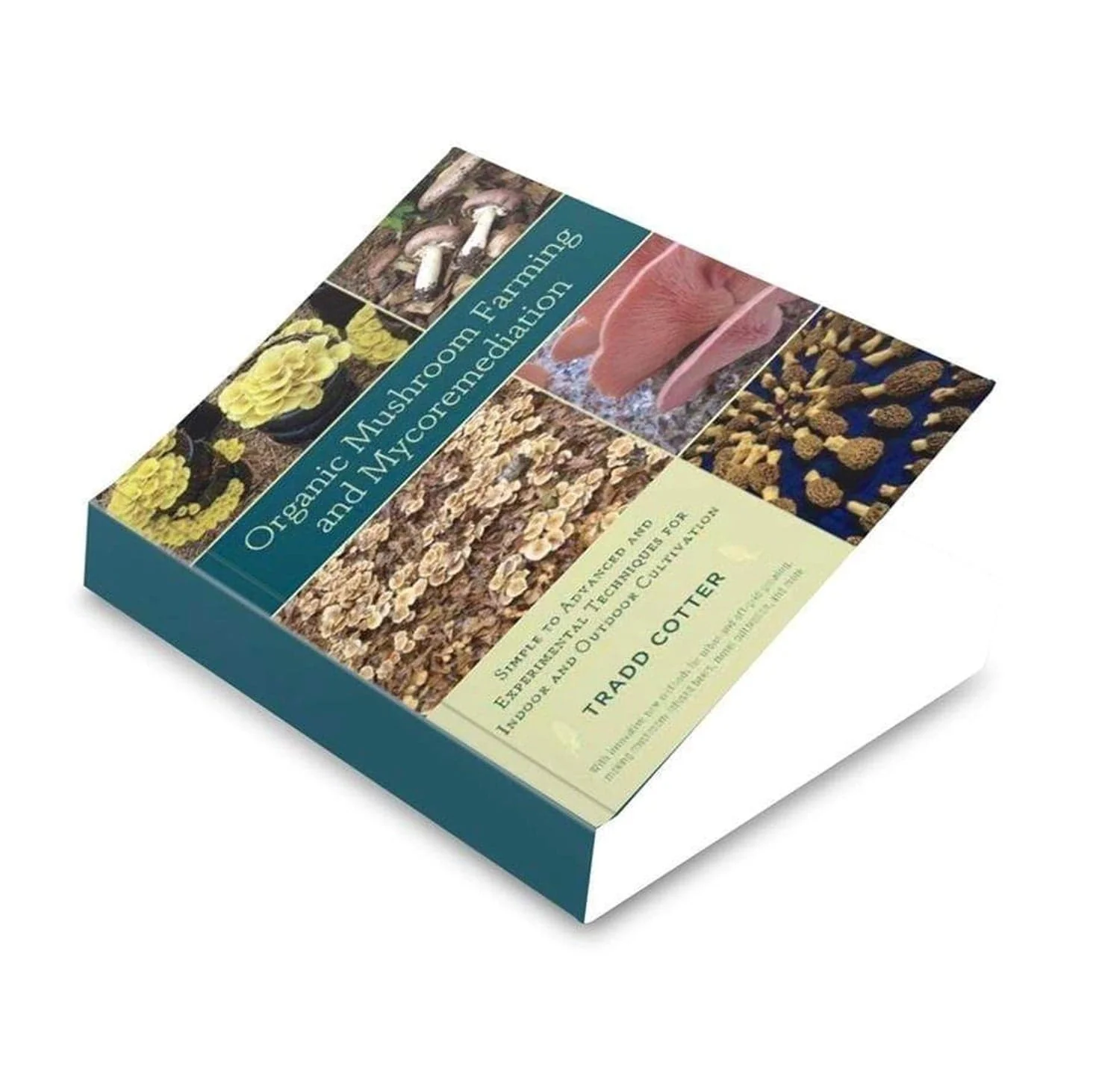 Organic Mushroom Farming and Mycoremediation - Image 2