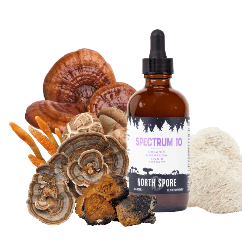 Organic Spectrum 10 Mushroom Blend Tincture