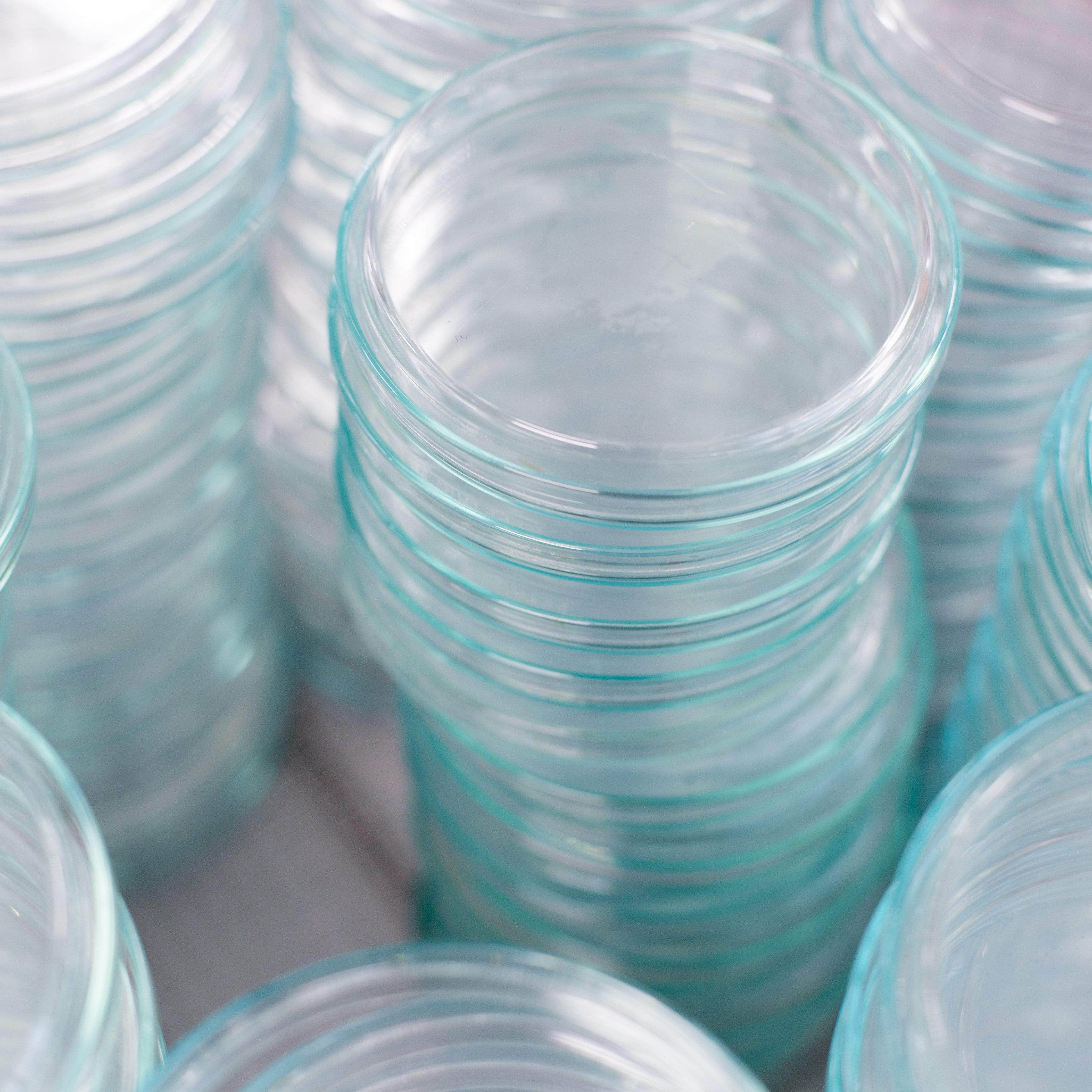 Medical-Grade Sterile Petri Dishes - Image 3