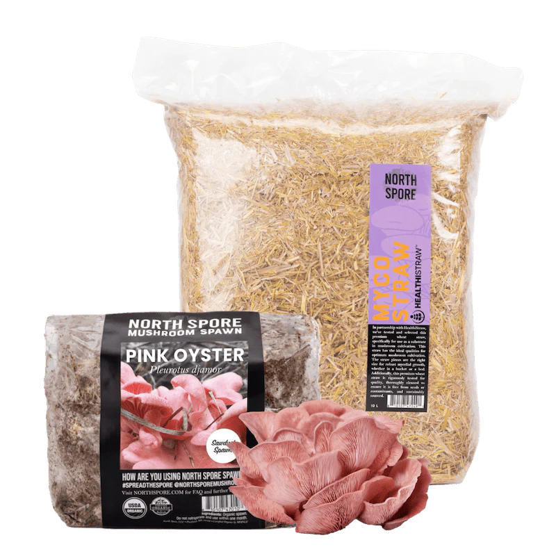 Pink Oyster Mushroom Garden Bed Kit