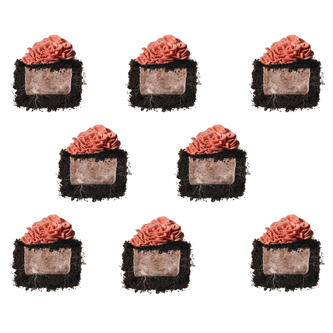 Pink Oyster 'Plant & Grow' Mushroom Starter Block - Image 5