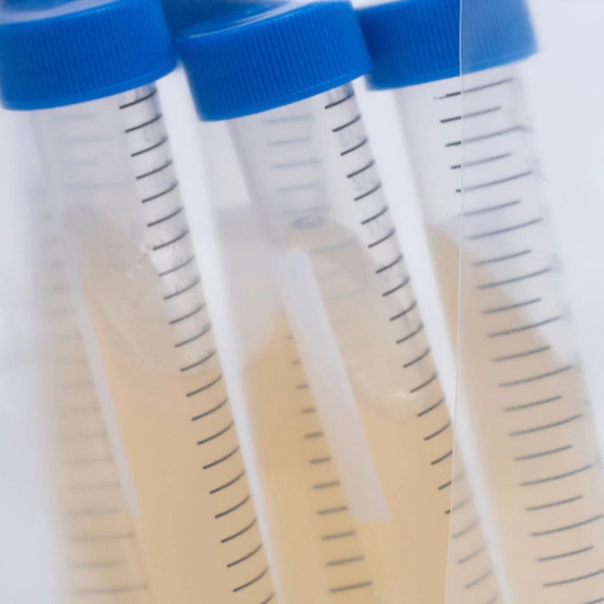 Pre-Poured Sterile Agar Slants for Culture Storage - Image 3
