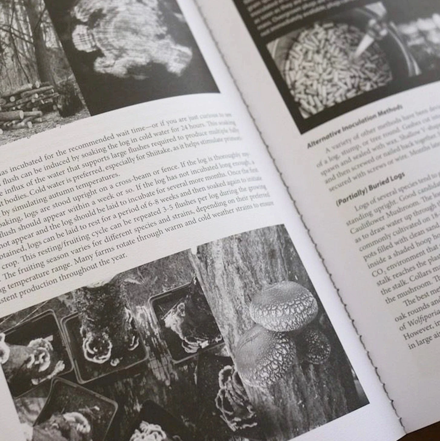 Radical Mycology: A Treatise on Working with Fungi - Image 4