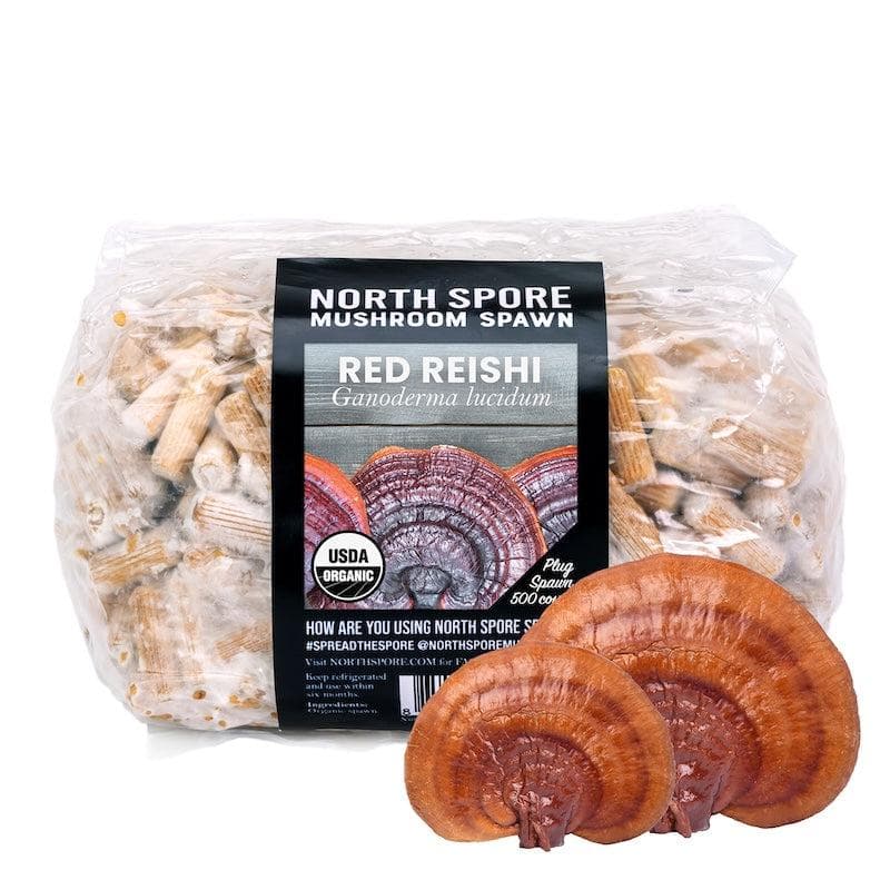 Organic Red Reishi Mushroom Plug Spawn - Image 7