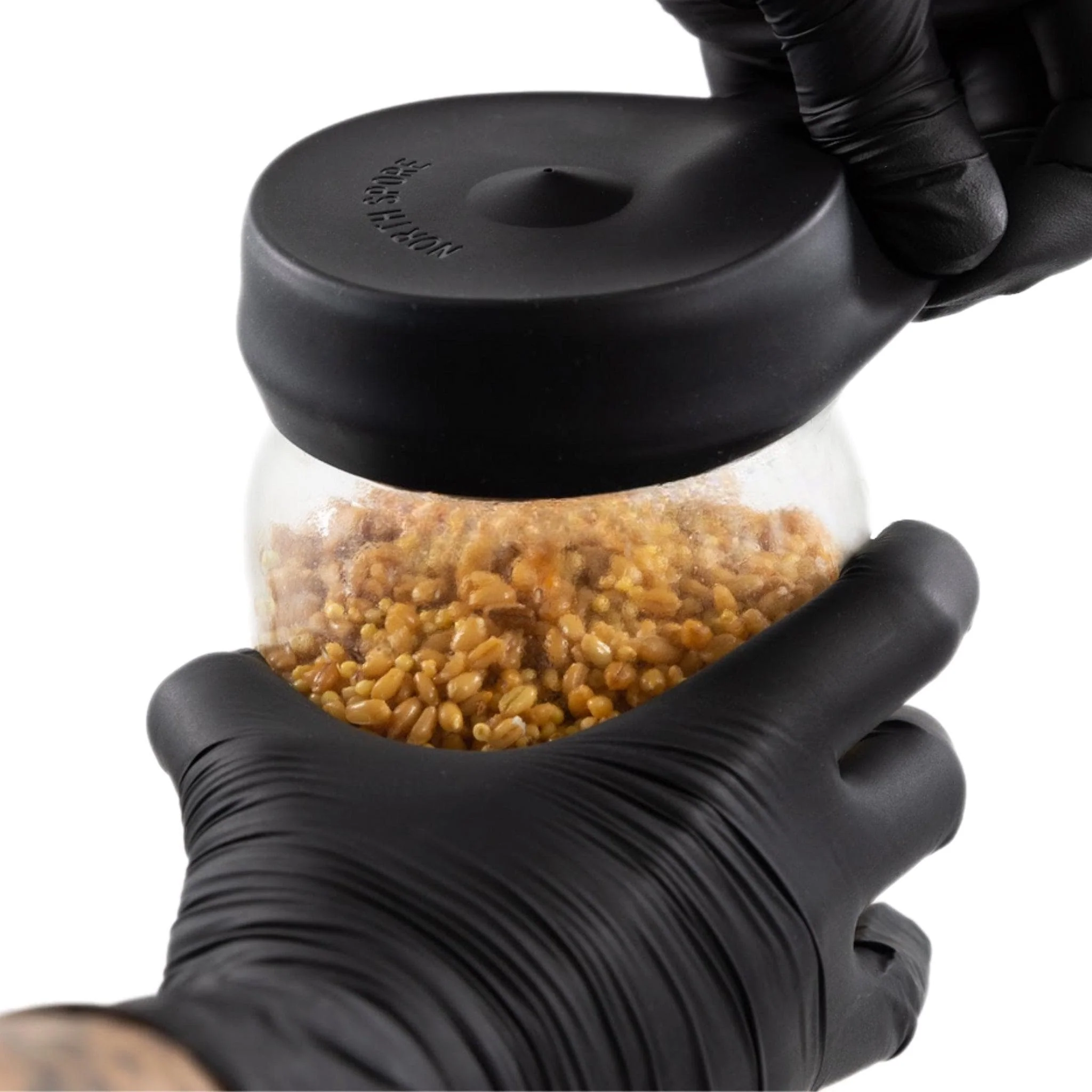 'Regular Mouth' Silicone Lid Cover for Mushroom Culture Jars - Image 2