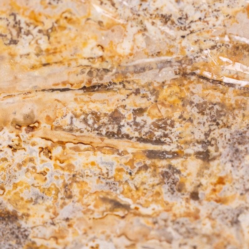 Organic Hemlock Reishi Mushroom Sawdust Spawn - Image 2