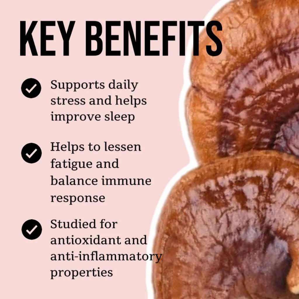 Organic Reishi Mushroom Tincture - Image 3