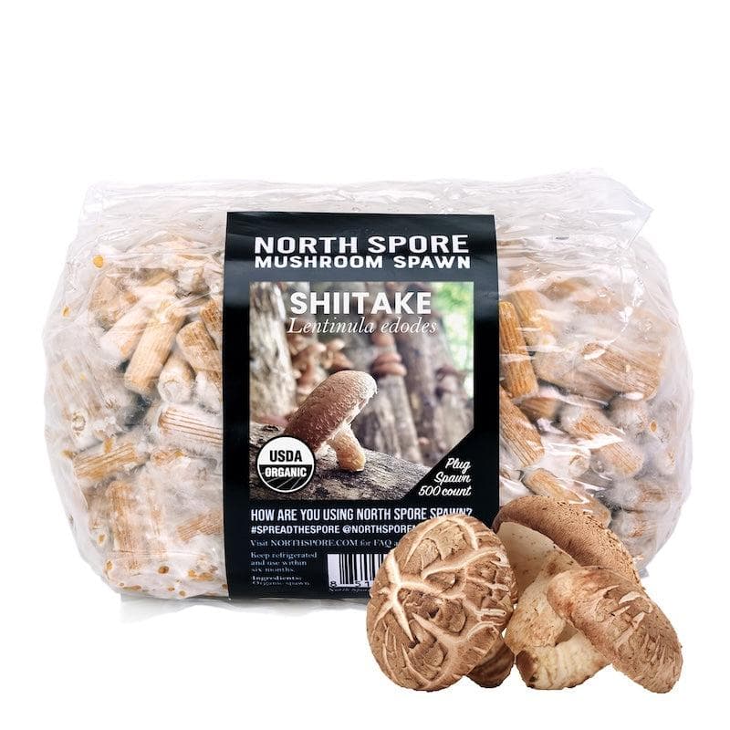 Organic Shiitake Mushroom Plug Spawn - Image 7