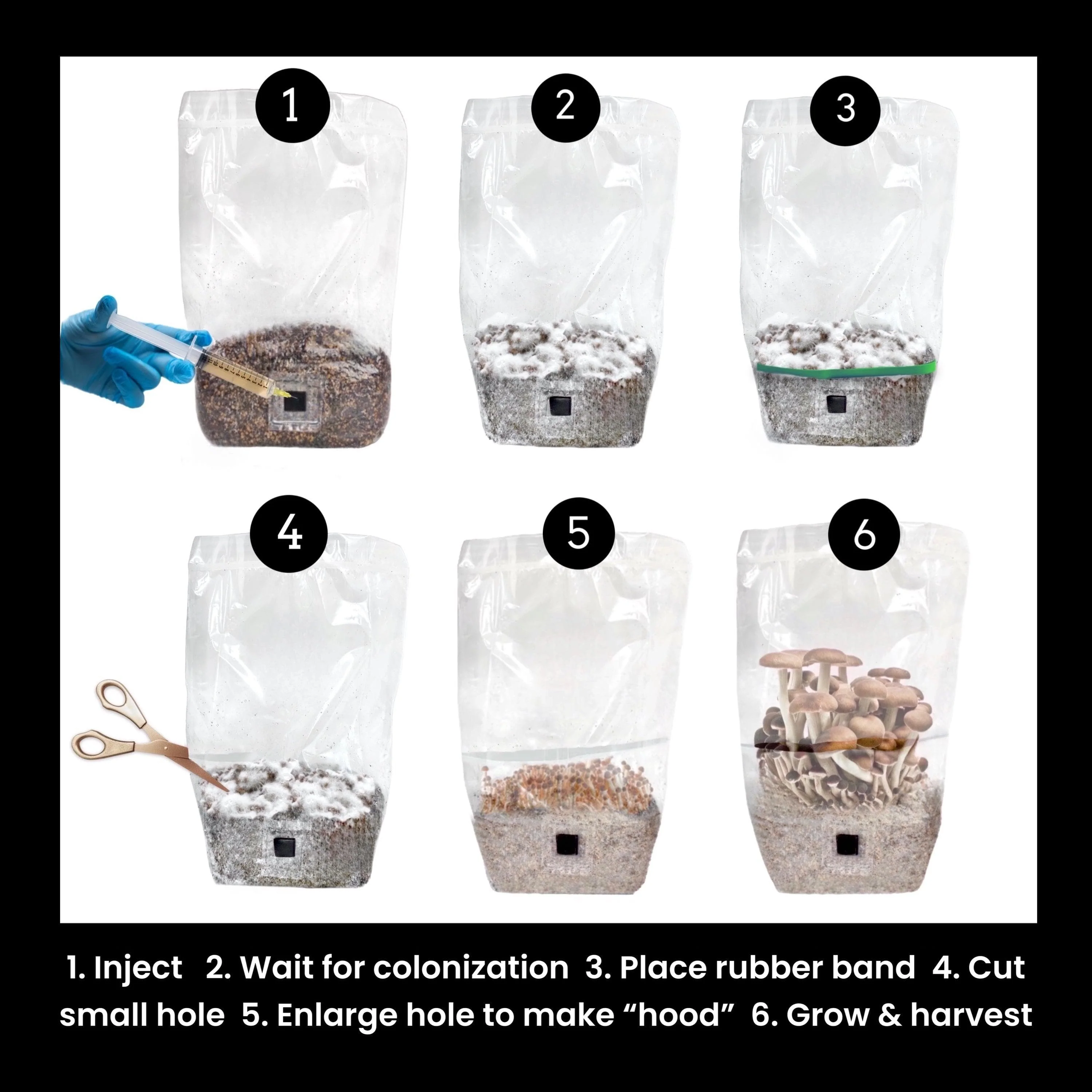 'ShroomTek' + Spore Boostr All-In-One Mushroom Grow Bag - Image 2