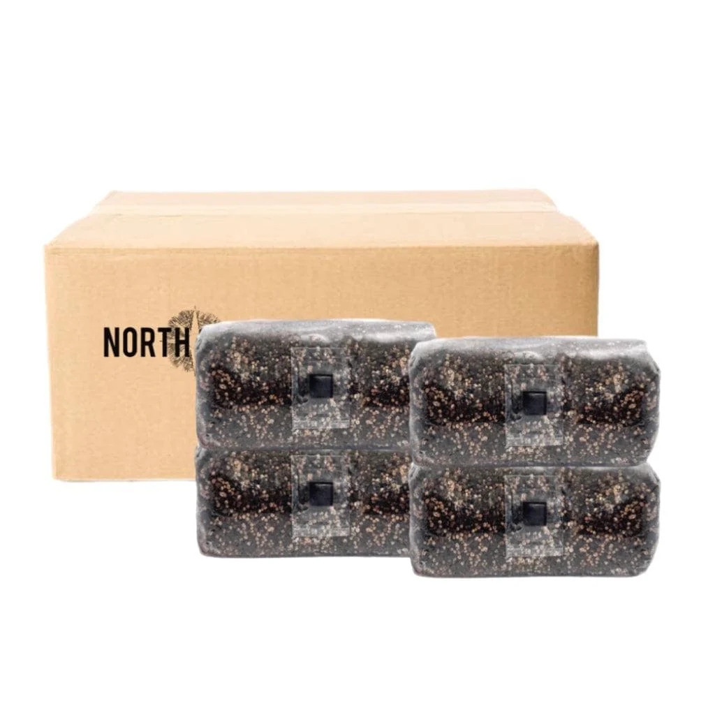 'ShroomTek' + Spore Boostr All-In-One Mushroom Grow Bag - Image 9