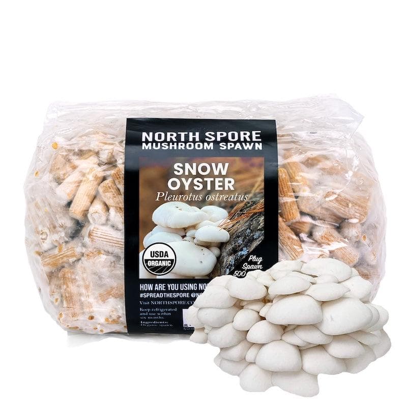 Organic Snow Oyster Mushroom Plug Spawn - Image 7