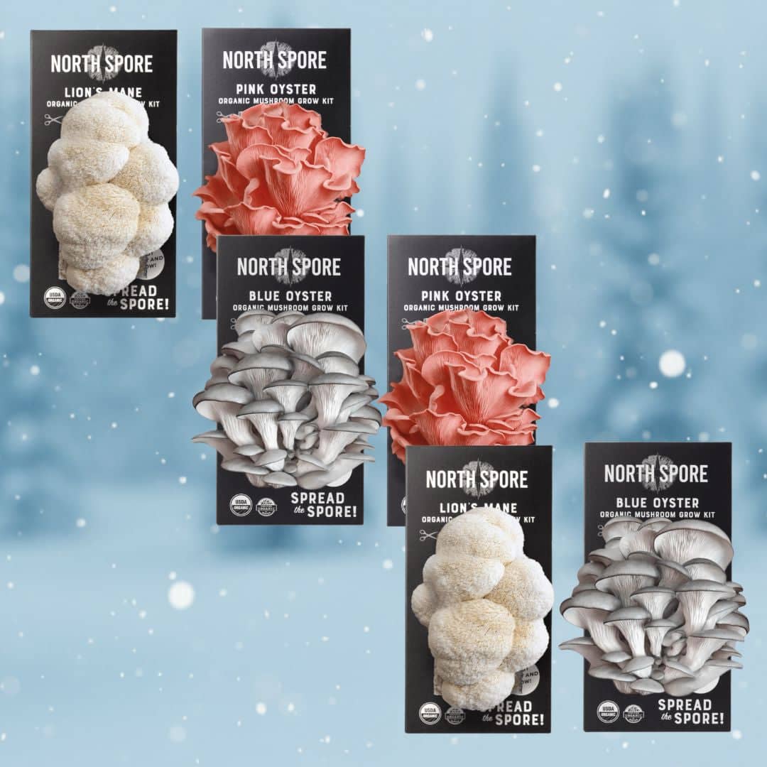 Gift a Year of Mushrooms