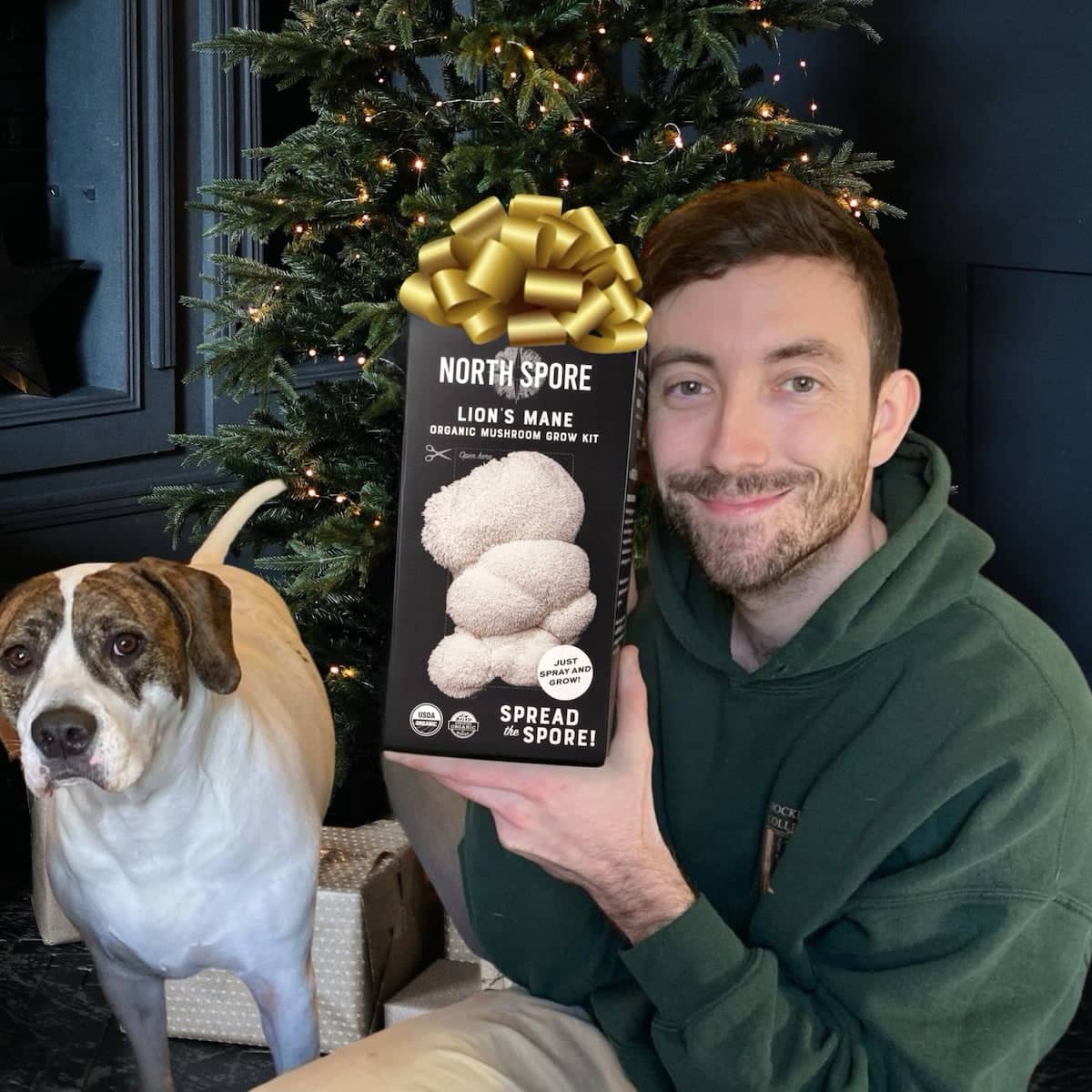 Gift a Year of Mushrooms - Image 2