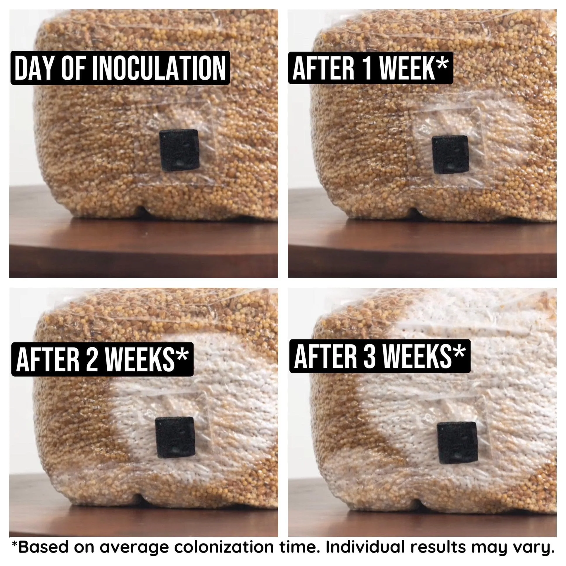 Organic Sterilized Grain Bag with Injection Port - Image 3