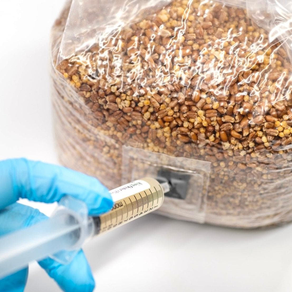 Organic Sterilized Grain Bag with Injection Port - Image 4