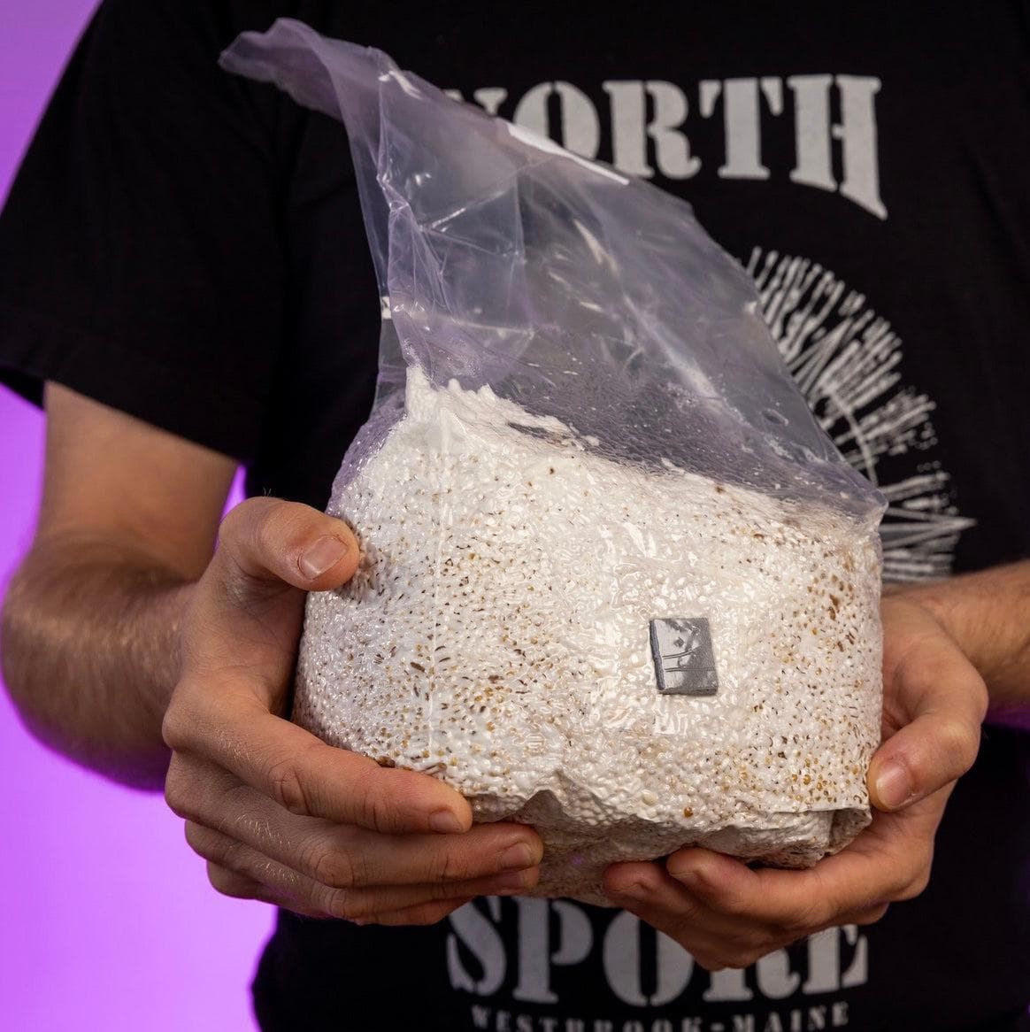 Organic Sterilized Grain Bag with Injection Port - Image 5