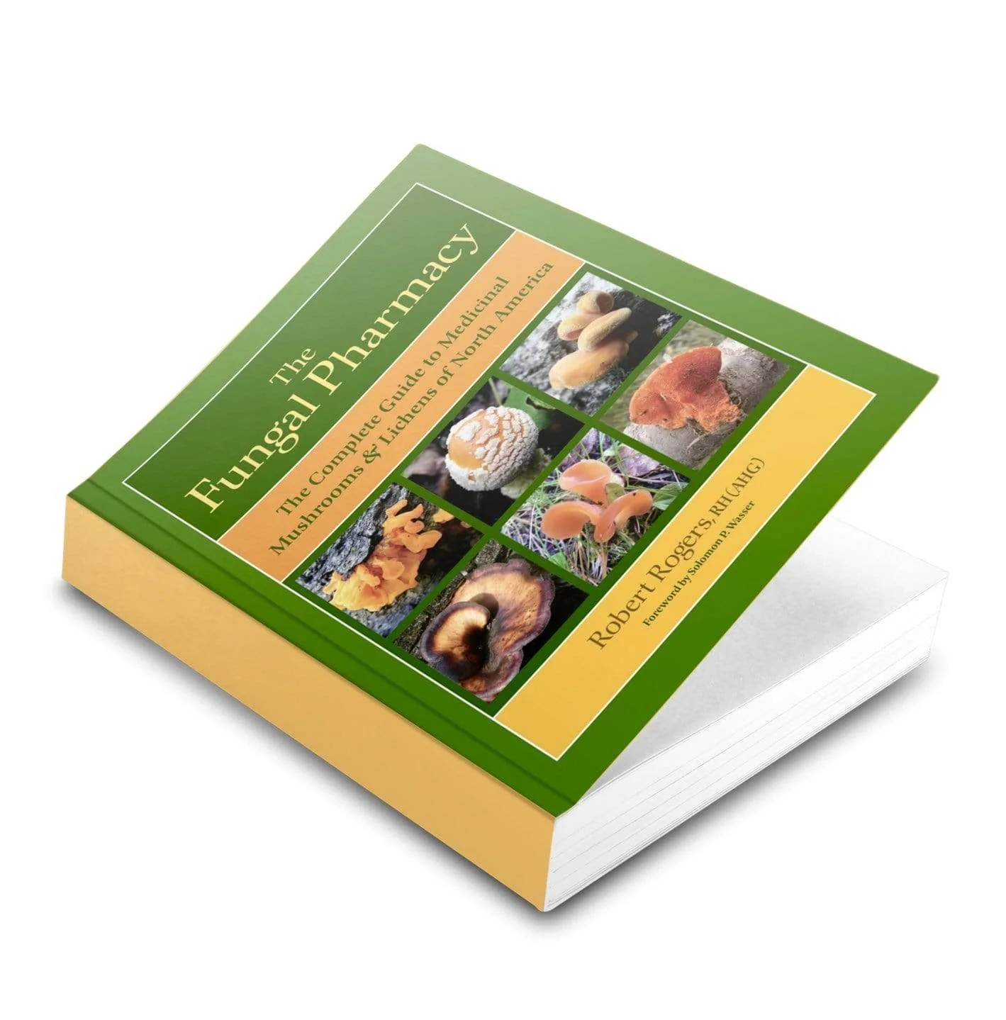 The Fungal Pharmacy: Guide to Medicinal Mushrooms - Image 2
