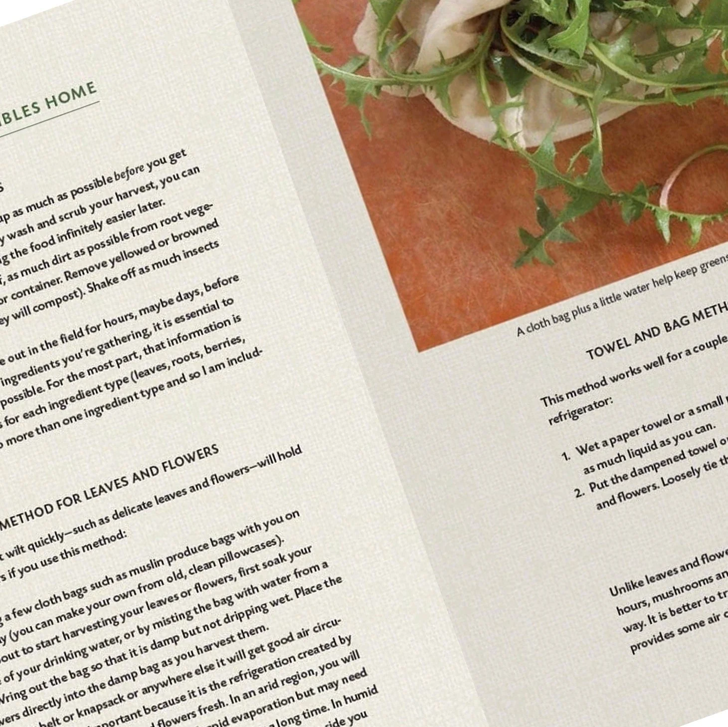 The Skillful Forager: Essential Techniques - Image 4