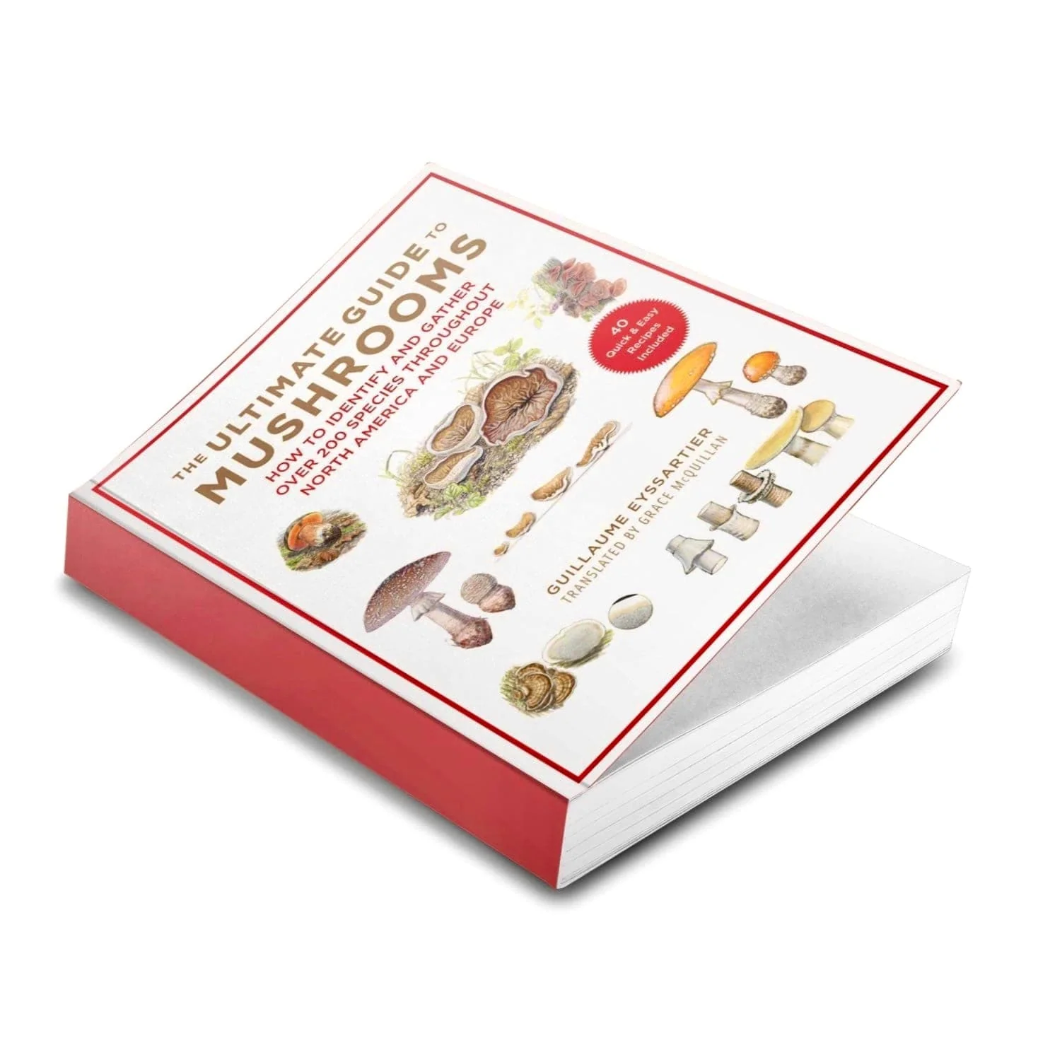 The Ultimate Guide to Mushrooms - Image 2