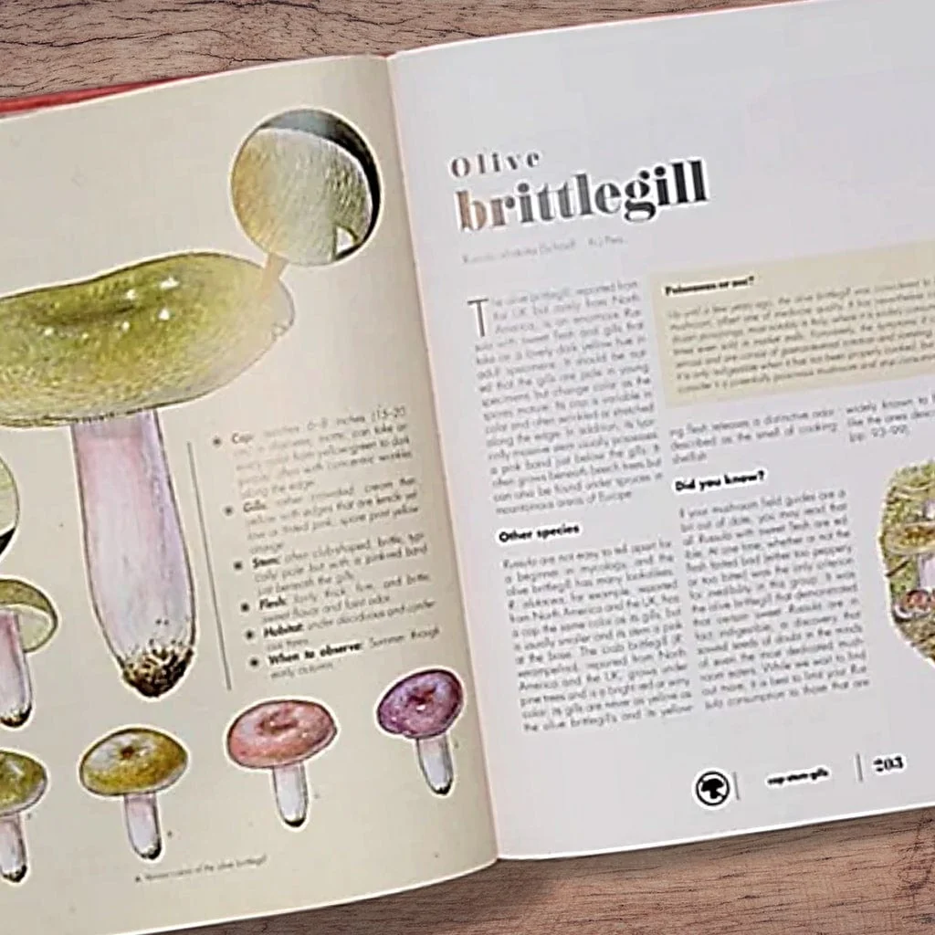 The Ultimate Guide to Mushrooms - Image 4