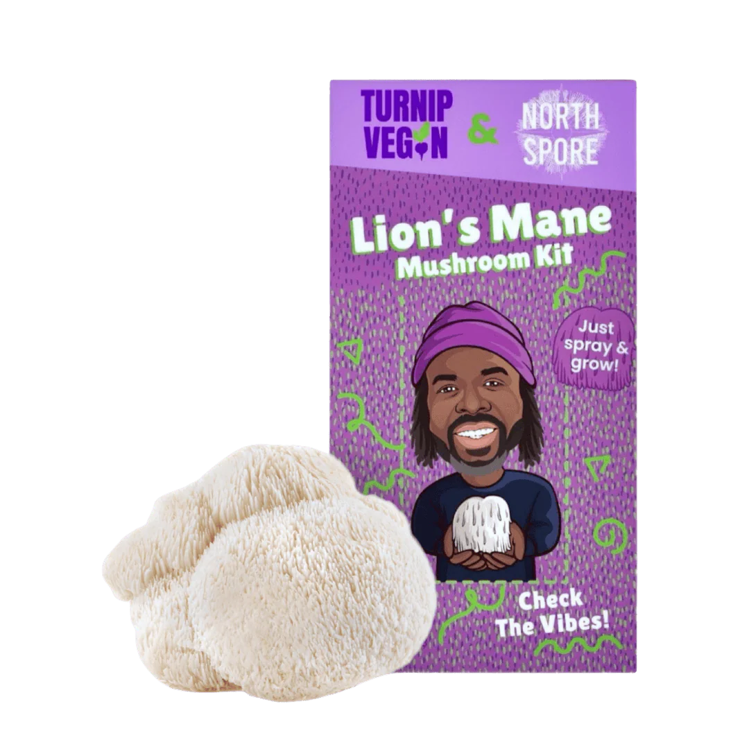 Turnip Vegan Organic Lion's Mane Mushroom Growing Kit