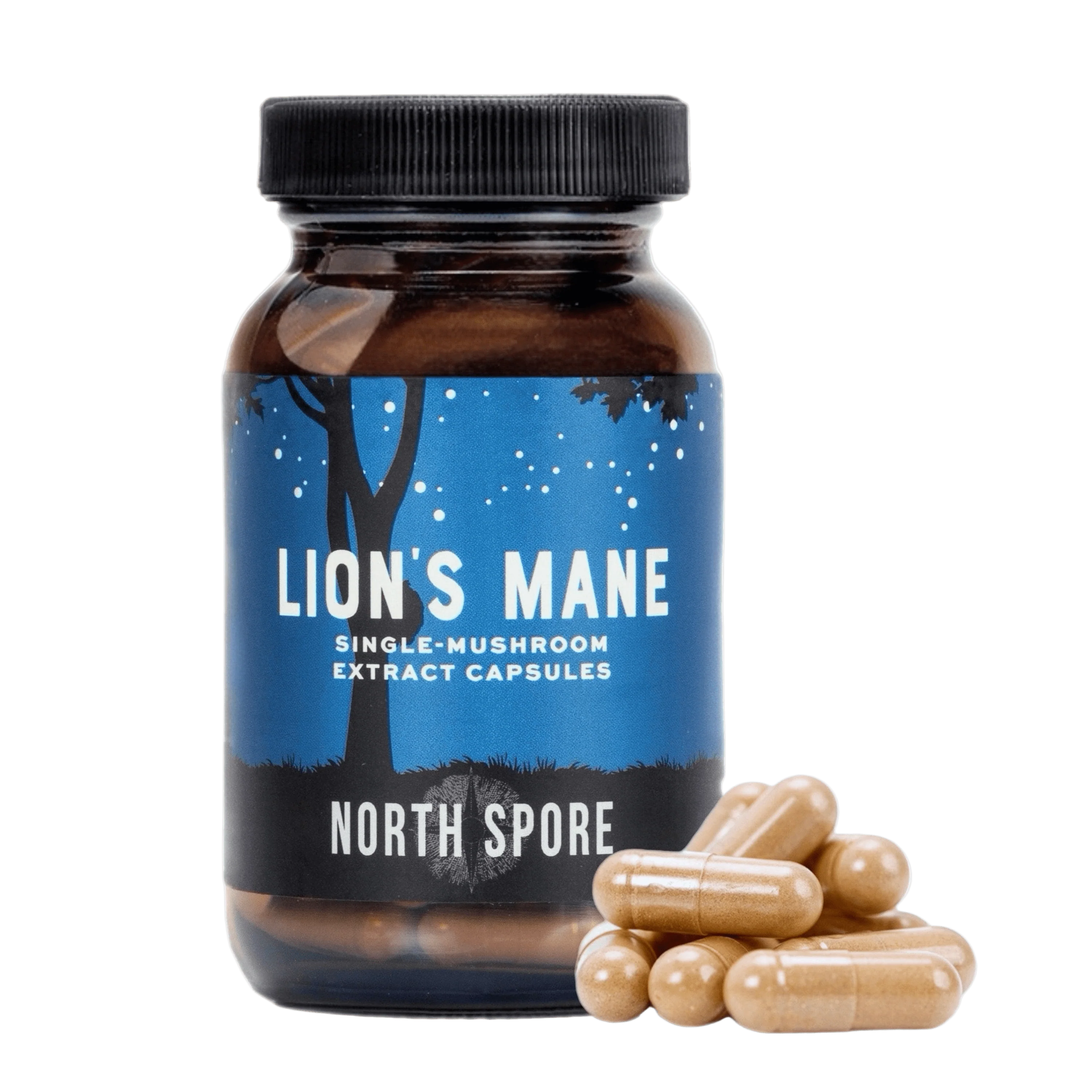 The Ultimate Lion’s Mane Bundle - Image 5